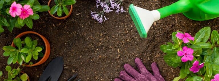 Essential Spring Gardening Tips for Beginners