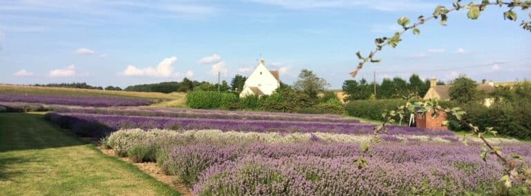 What’s on across Worcestershire during July?