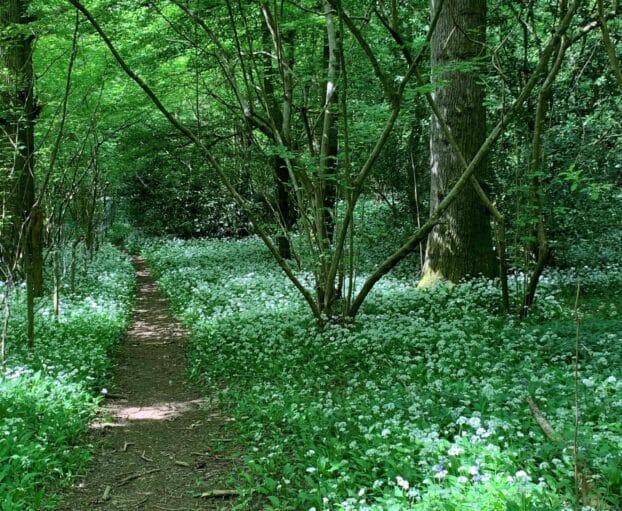 Our Spring Walk Recommendations Around Gloucestershire