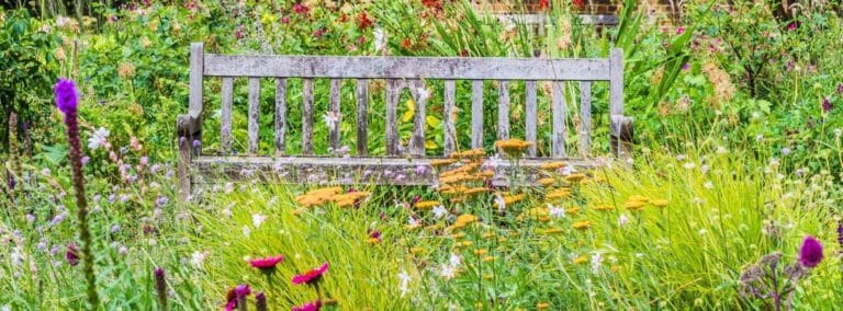 Wild Gloucestershire campaign launched to promote biodiversity