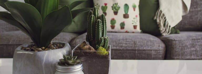Spring Interior Design Trends 2021