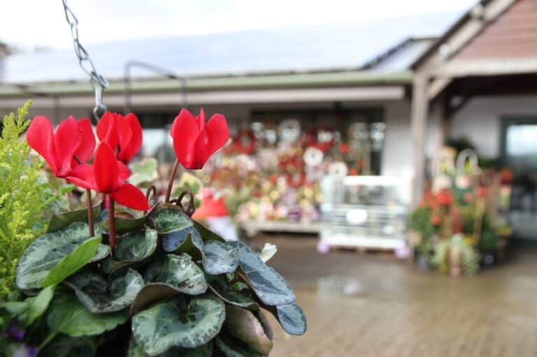 An Expert Guide: How Farm Shops in Gloucestershire Can Contribute to Adding Value to your Property