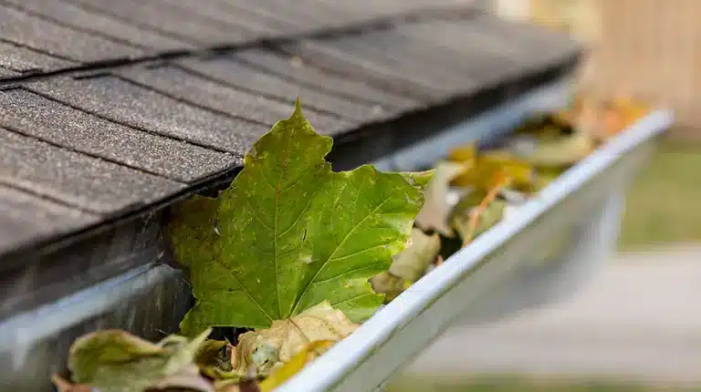 Home Maintenance Checklist Before the Weather Turns
